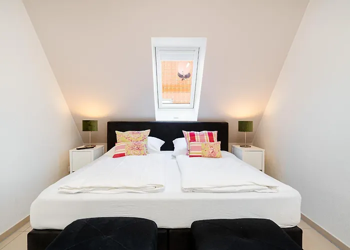 Schuppen Deluxe 03 Apartament *